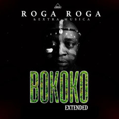 Roga Roga, Extra Musica - Bokoko EXTENDED (Dj Bass)