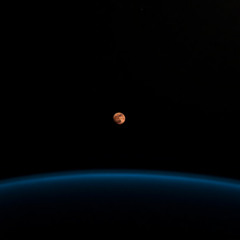 A Better Life on Mars