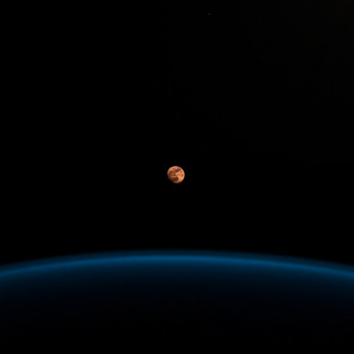 A Better Life on Mars