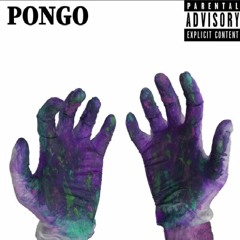 Pongo