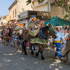 Street Procession (Fête de Saint Roch) - Rognonas, France
