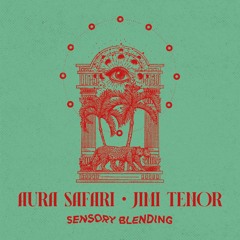 Aura Safari & Jimi Tenor - Your Magic Touch
