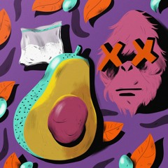 Familiarul Exotic #1 Efectele mai puțin cunoscute ale consumului de cocaină, avocado și nu numai