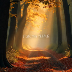 Autumn ASMR | Field ASMR | Autonomous Sensory Meridian Response