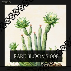 Cereus - Rare Blooms 008