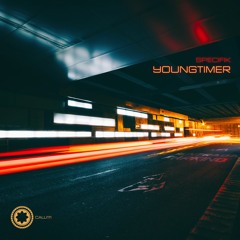 Specifik - Youngtimer (Windom R Breaks Remix)