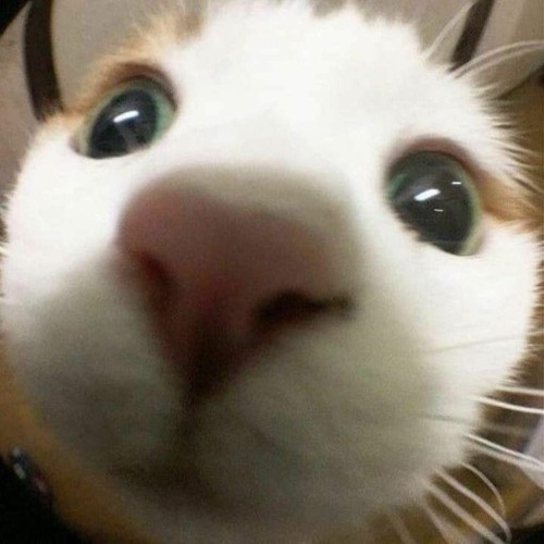 Diễm xưa- Trịnh Công Sơn / An Trần Saxophone