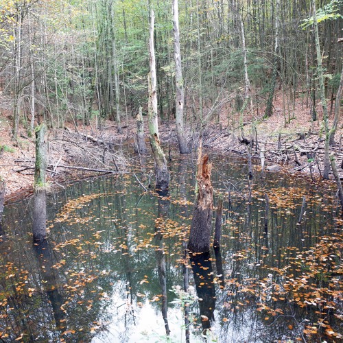 Long Ago 15 - 12 - 2020