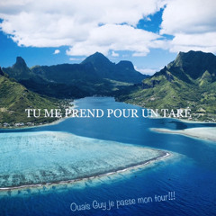 TU ME PREND POUR UN TARÉ (ZeMassRemix)