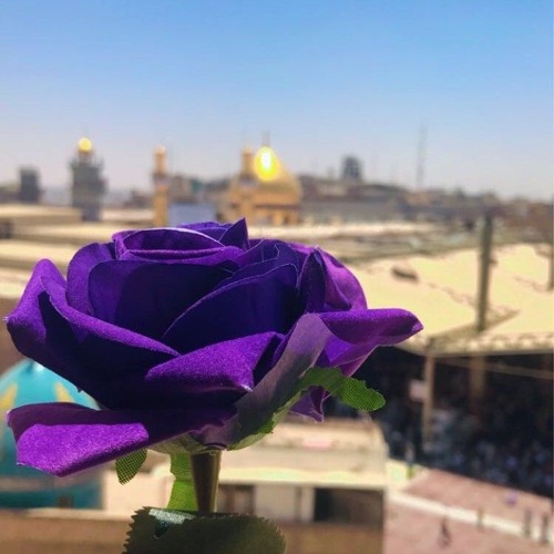 زَينَبية مُنذُ صُغَري