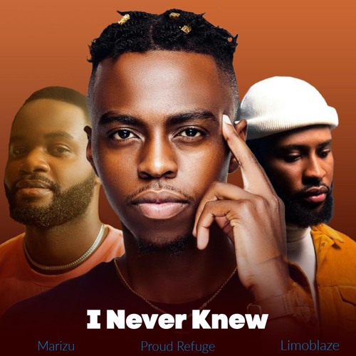 I Never Knew ft Limoblaze & Marizu