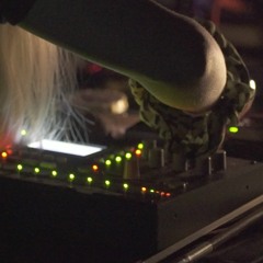 PhantomTigers by Asynkron & Astrid Fabrin