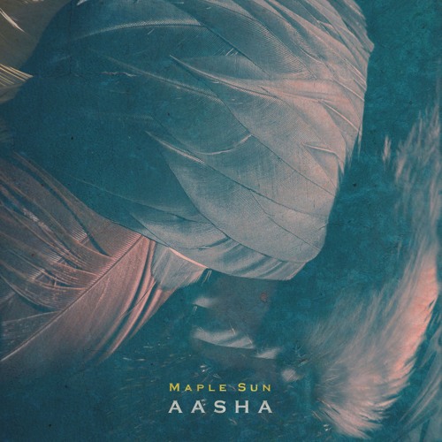Maple Sun - Aasha