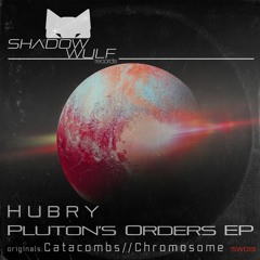 Premiere: Hubry "Catacombs" - Shadow Wulf Records