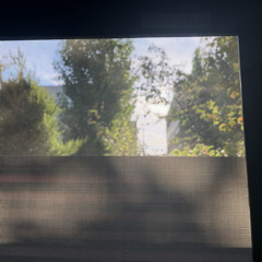 窓