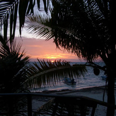 Roger Steele - Nuevo Tampico