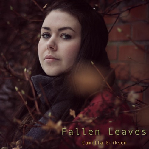 Fallen Leaves