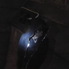 lil baddd - fried (vxlxndis) [slump audios exclusive]