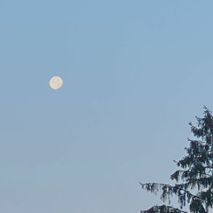 i fell in love with you on a wednesday night