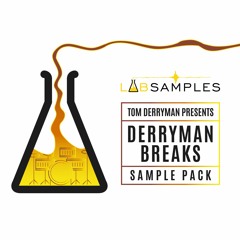 Derryman Breaks - DLR - Demo Break 1