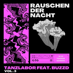 RAUSCHEN DER NACHT_VOL.3 [TANZLABOR feat. BuzZD]