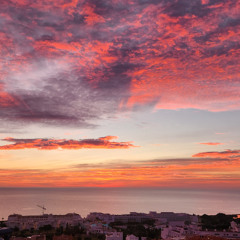 Psychillin' 2026 Owldessy