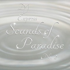 Sounds of Paradise Vol. 2 w/ DJ EXPRESS