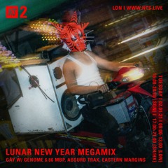 NTS Radio - Lunar New Year Megamix : Gãy w/ Genome 6.66 MBP, Absurd Trax, Eastern Margins