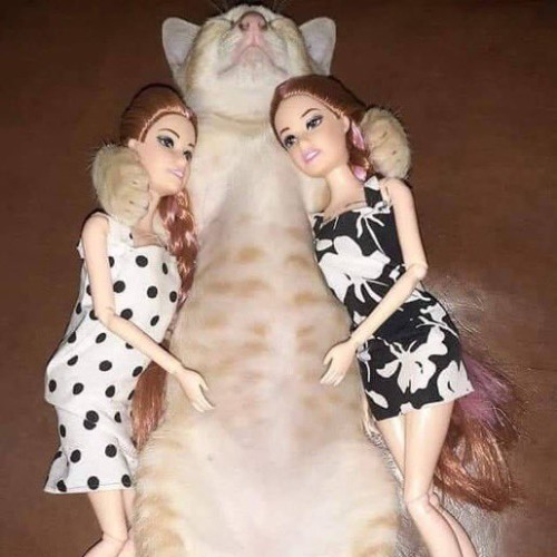 Chillin At the Trap with Kitty on my Lap