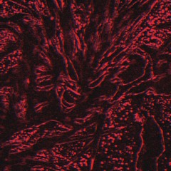 Снова понедельник