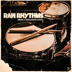 [FREE] Royalty Free Drum Breaks & Percussion Loops | Raw Rhythms | Boom Bap Hip Hop Old School Lofi