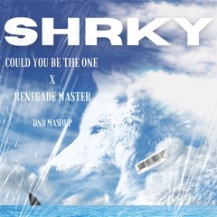 Could You Be The One x  Renegade Master -  Kove vs. Radius - SHRKY's DnB Mashup