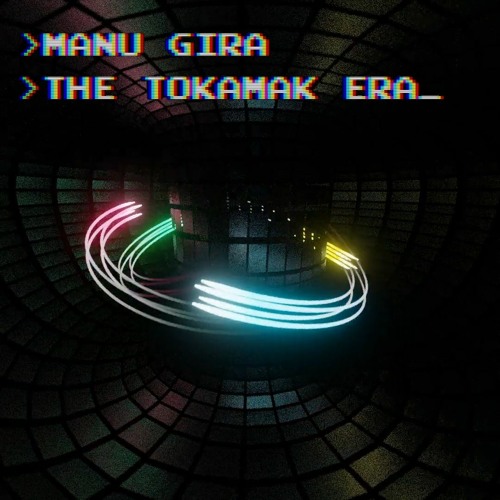 The Tokamak Era