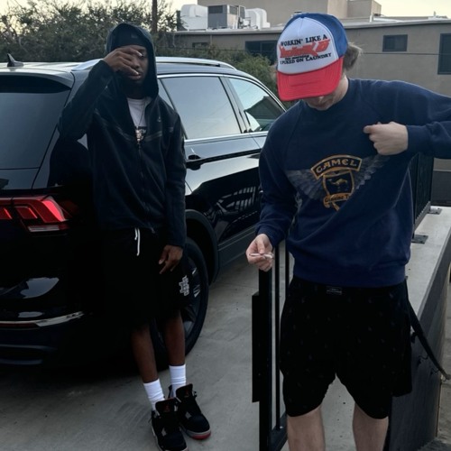 protect - foreign (snippet)