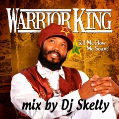 DJ SKELLY Mix Warrior King hits