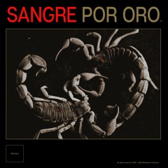MODULARZ 46 - // Sangre Por Oro LP // by Developer