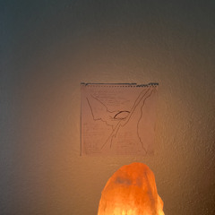 Internal Family Schisms (aug. 5)