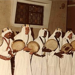 أصداء الحجاز: إيقاعات الحجاز الخالدة