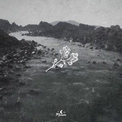 Strehlow - Next Winter