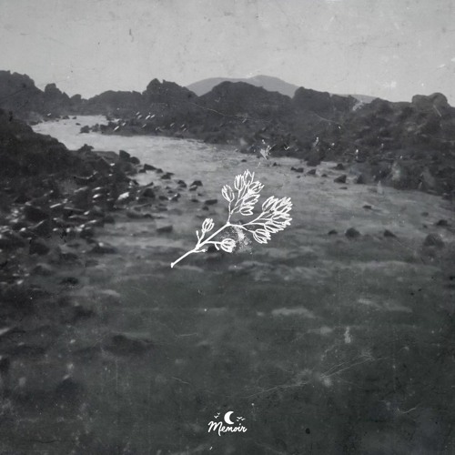 Strehlow - Next Winter