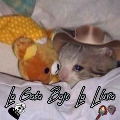 La Gata Bajo La Lluvia (Feat. Rancho Kids & Saul's Dad)