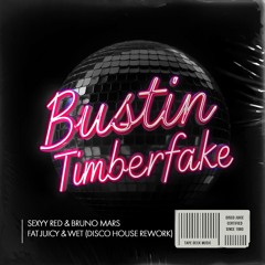 Bustin Timberfake - Fat Juicy & Wet (Disco House Rework)