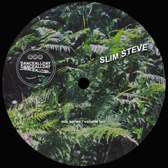 Dance All Day Mix Series Vol. 10 - Slim Steve