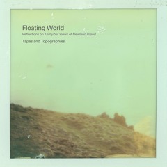 wlr126 Tapes and Topographies -Floating World - Reflections on 36 Views of Newland Island