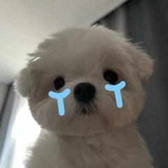 편지 Feat. 엘른)