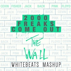 2000 Freaks Come Out Vs The Wall -Cevin Fisher, Jack Back Vs Pink Floyd (Döts Mashup)