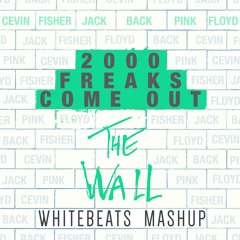 2000 Freaks Come Out Vs The Wall -Cevin Fisher, Jack Back Vs Pink Floyd (Döts Mashup)