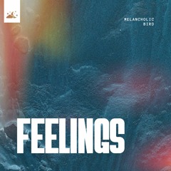 Melancholic Bird - Feelings