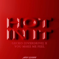 Hot In It X Gecko X You Make Me Feel (Nick Escoto Mashup)