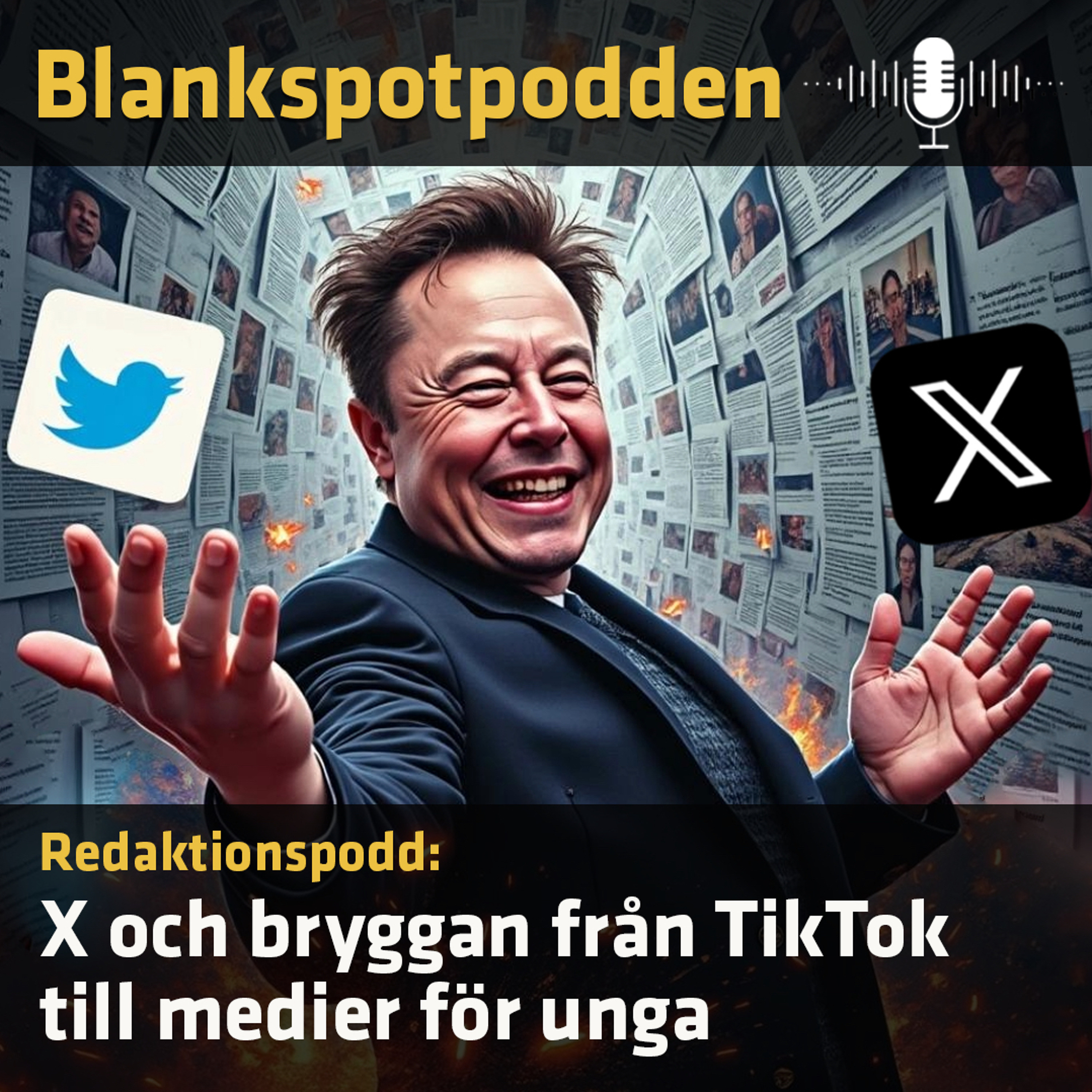 Blankspotpodden